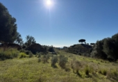 Terreno no urbanizable en venta en la España, Mijas, ref: TR373824 foto