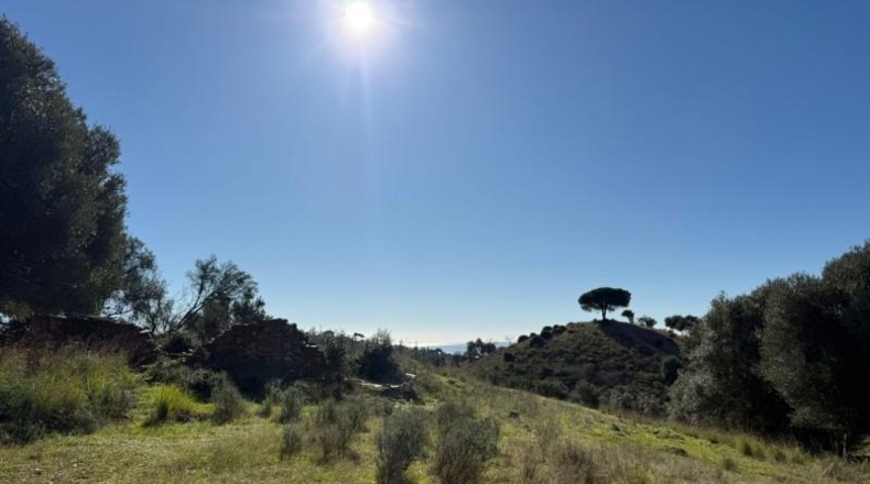 Malaga - Mijas - 90882m2