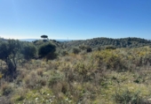 Terreno no urbanizable en venta en la España, Mijas, ref: TR373824 foto