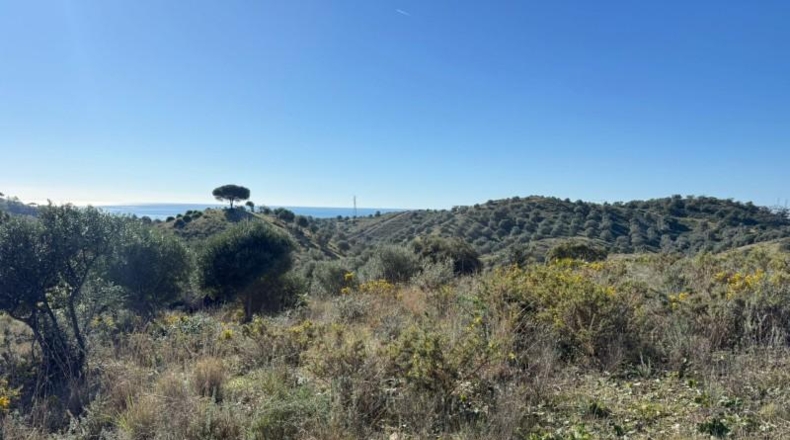 Malaga - Mijas - 90882m2