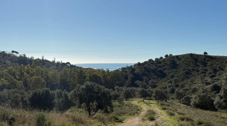 Malaga - Mijas - 90882m2
