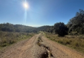 Terreno no urbanizable en venta en la España, Mijas, ref: TR373824 foto