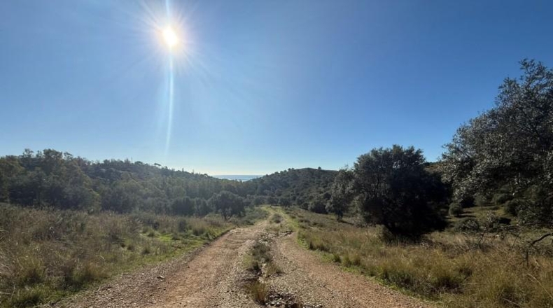 Malaga - Mijas - 90882m2