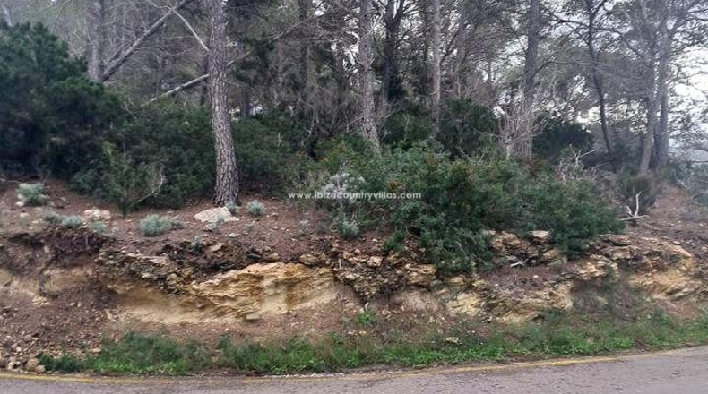 Illes Balears - Ibiza - 2000m2