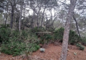 Urban land for sale on España, Ibiza, ref: TR381549 photo