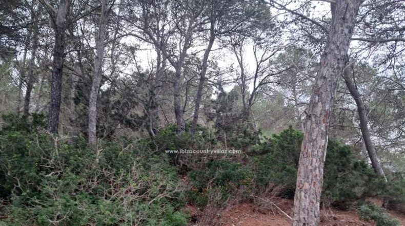 Illes Balears - Ibiza - 2000m2