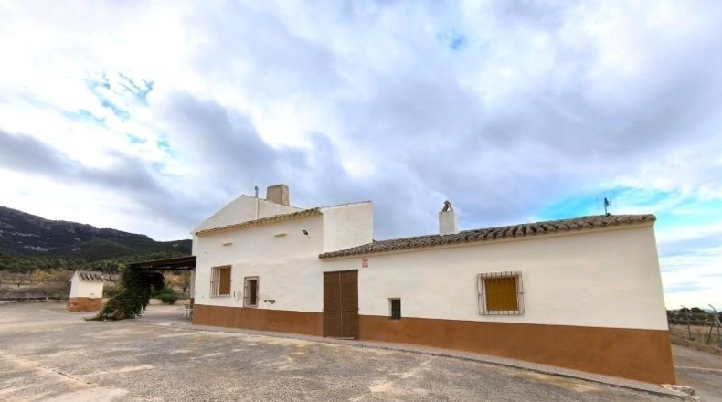 Murcia - Yecla - 639752m2