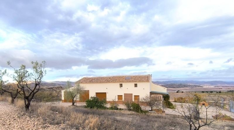 Murcia - Yecla - 639752m2