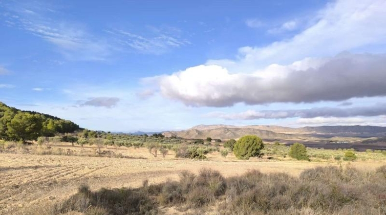 Murcia - Yecla - 639752m2