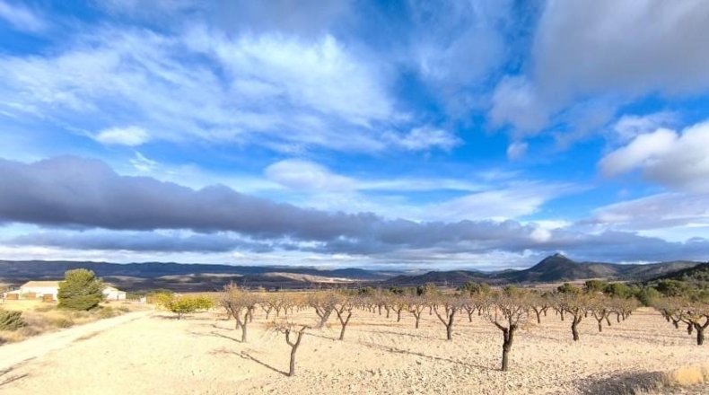 Murcia - Yecla - 639752m2