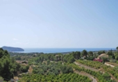 Xalet independent amb terreny en venda a la España, Moraira, ref.: TR197092 foto