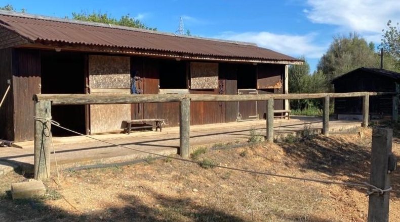 Islas Baleares - Sencelles - 38000m2