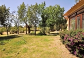 Xalet independent amb terreny en venda a la España, Sencelles, ref.: TR177940 foto