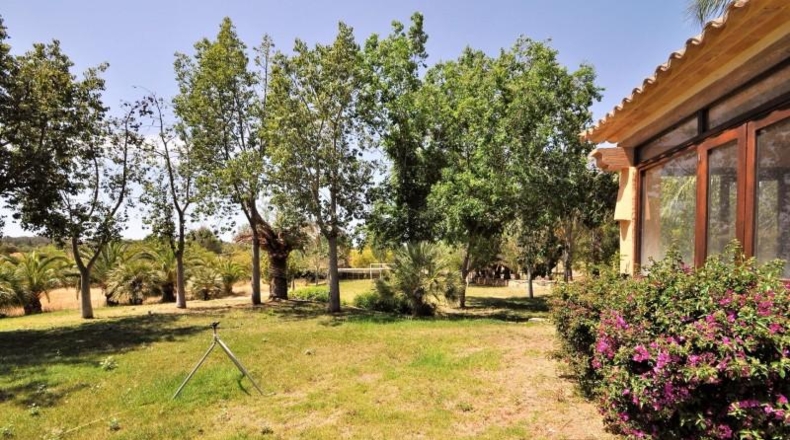 Islas Baleares - Sencelles - 38000m2