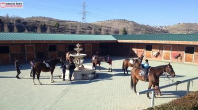 Comunidad de Madrid - Arganda del Rey - 40000m2