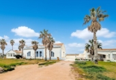 Chalet independiente con terreno en venta en la España, Deltebre, ref: TR371014 foto