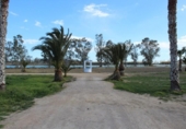 Chalet independiente con terreno en venta en la España, Deltebre, ref: TR371014 foto
