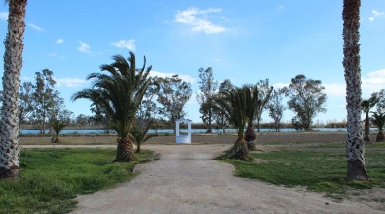 Tarragona - Deltebre - 70000m2