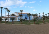 Chalet independiente con terreno en venta en la España, Deltebre, ref: TR371014 foto