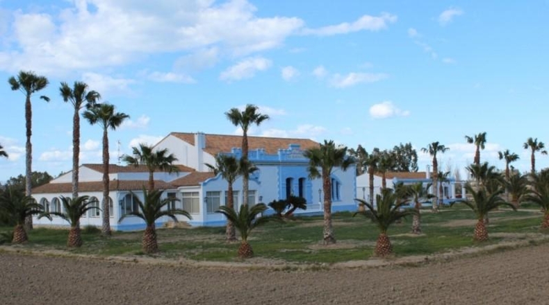 Tarragona - Deltebre - 70000m2