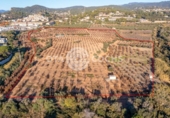 Chalet independiente con terreno en venta en la España, Castellvell del Camp, ref: TR365667 foto