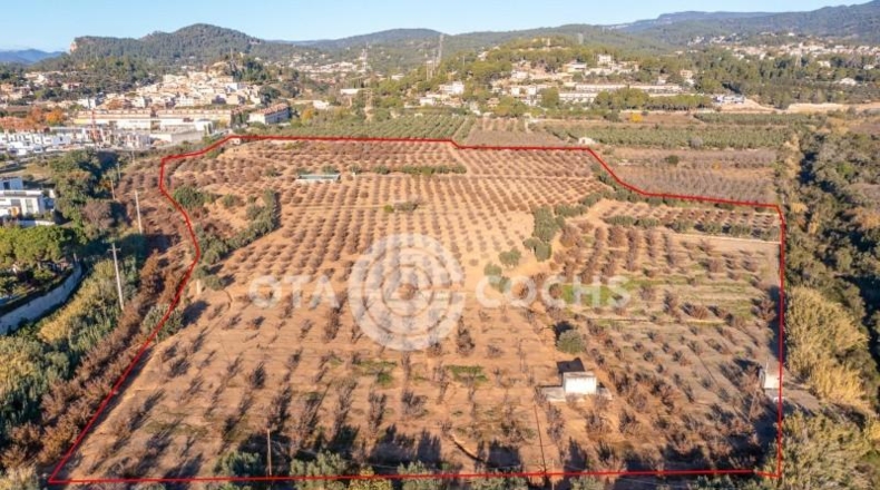 Таррагона - Castellvell del Camp - 80000m2