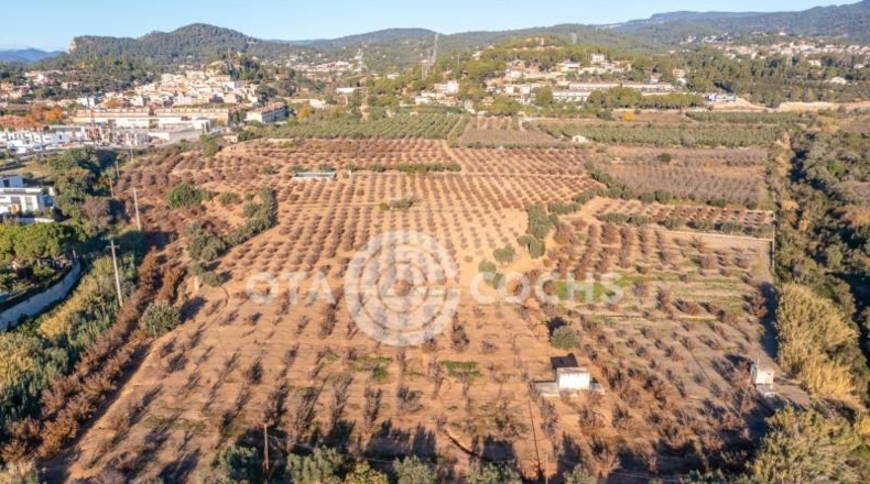 Таррагона - Castellvell del Camp - 80000m2