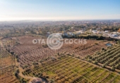 Chalet independiente con terreno en venta en la España, Castellvell del Camp, ref: TR365667 foto
