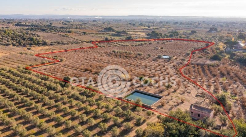 Таррагона - Castellvell del Camp - 80000m2