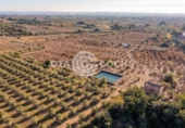 Chalet independiente con terreno en venta en la España, Castellvell del Camp, ref: TR365667 foto