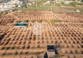 Chalet independiente con terreno en venta en la España, Castellvell del Camp, ref: TR365667 foto