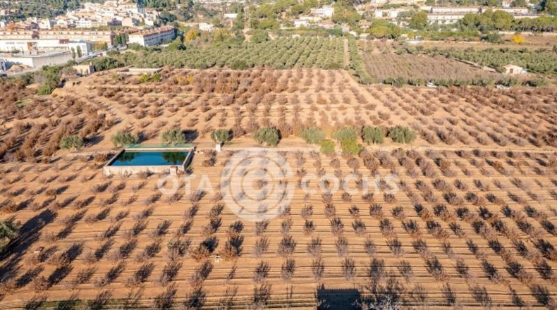 Таррагона - Castellvell del Camp - 80000m2