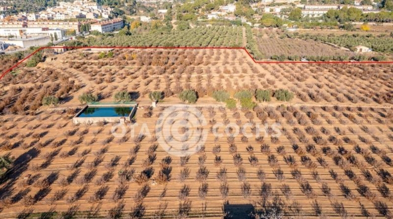 Таррагона - Castellvell del Camp - 80000m2