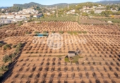 Chalet independiente con terreno en venta en la España, Castellvell del Camp, ref: TR365667 foto