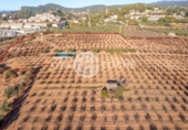 Chalet independiente con terreno en venta en la España, Castellvell del Camp, ref: TR365667 foto