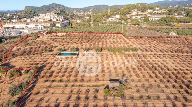 Таррагона - Castellvell del Camp - 80000m2