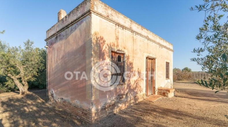 Таррагона - Castellvell del Camp - 80000m2