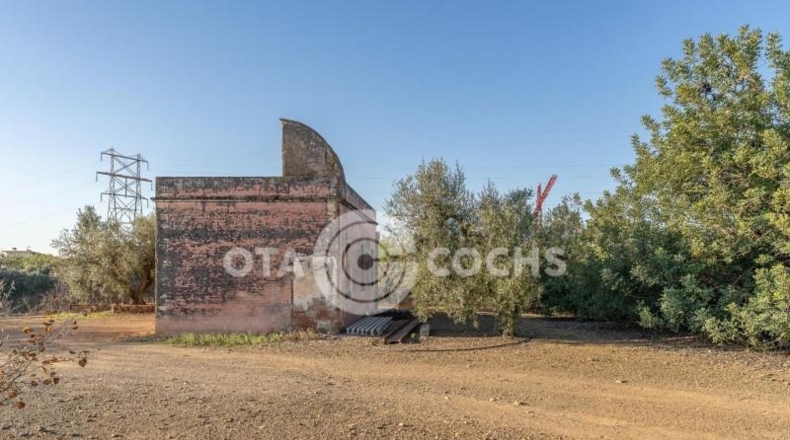 Таррагона - Castellvell del Camp - 80000m2