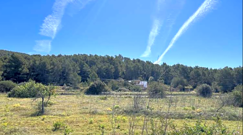 Balearic Islands - San Antonio Abad - 63128m2