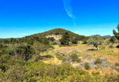 Land suitable for development for sale on España, Sant Antoni de Portmany, ref: TR129891 photo