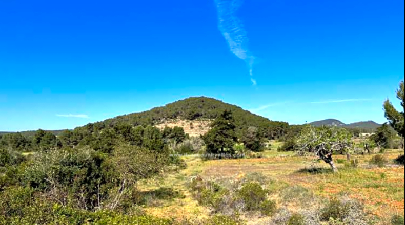 Balearic Islands - San Antonio Abad - 63128m2
