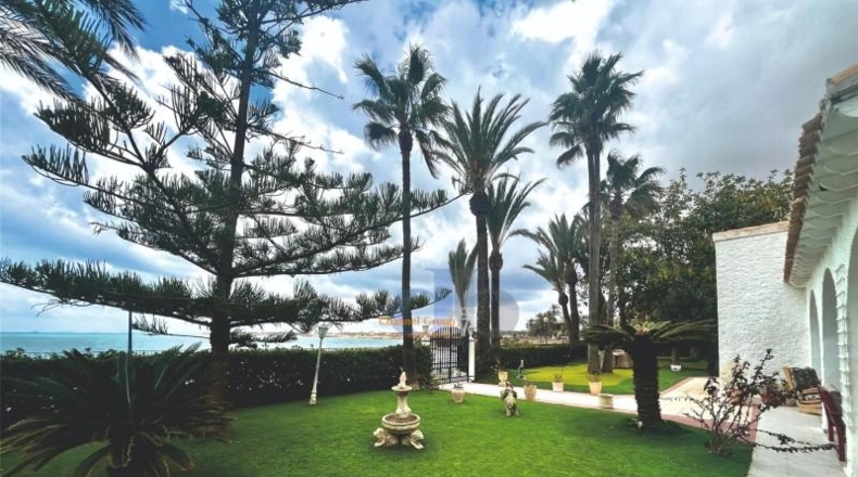 Alicante - Oriola - 1450m2