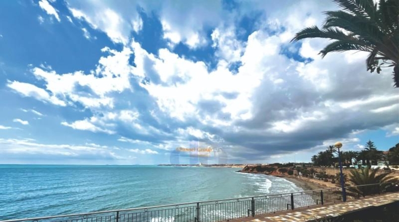 Alicante - Oriola - 1450m2