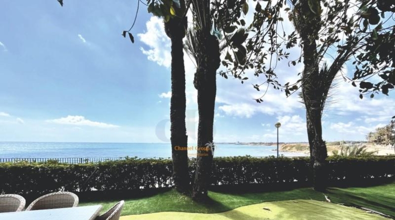 Alicante - Oriola - 1450m2