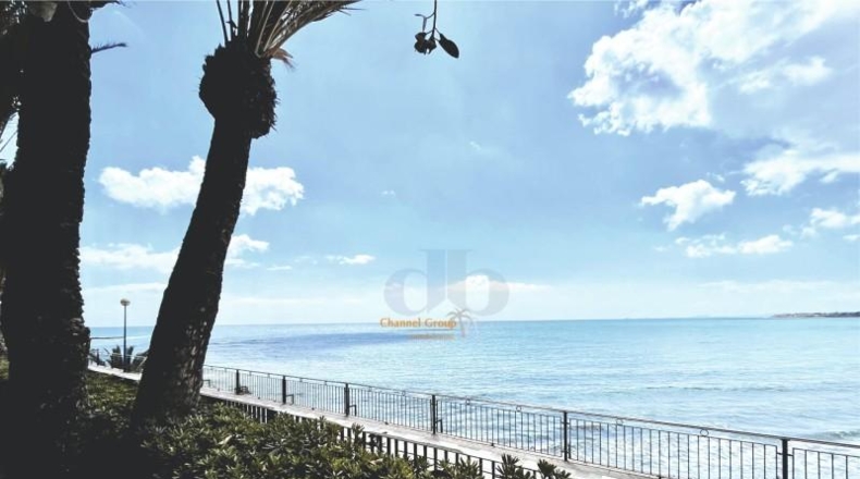 Alicante - Oriola - 1450m2
