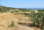 Terreno no urbanizable en venta en la España, Benahavís, ref: TR289232 foto