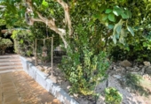 Detached villa with land for sale on España, Jávea, ref: TR351749 photo