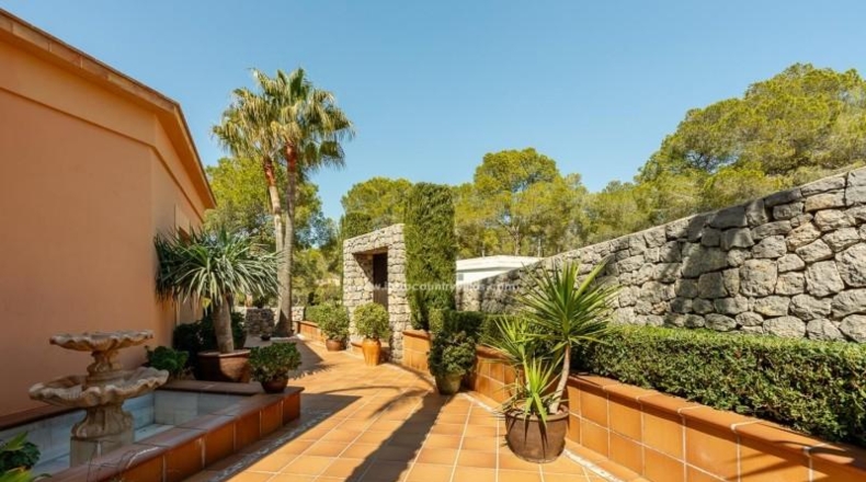 Islas Baleares - Santa Eulalia del Río - 853m2
