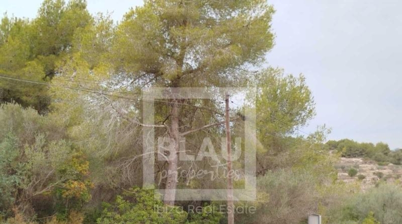 Alicante - Jávea - 13000m2
