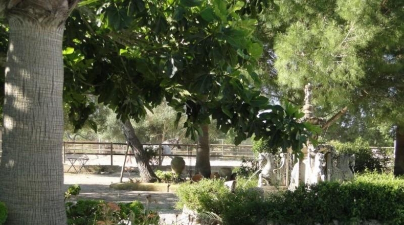 Balearic Islands - Montuïri - 30000m2